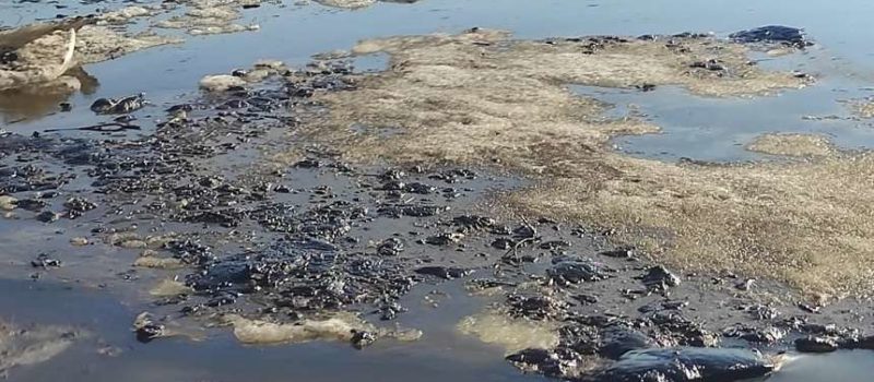Переработка нефтешламов